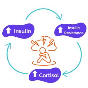 Cortisol and Insulin